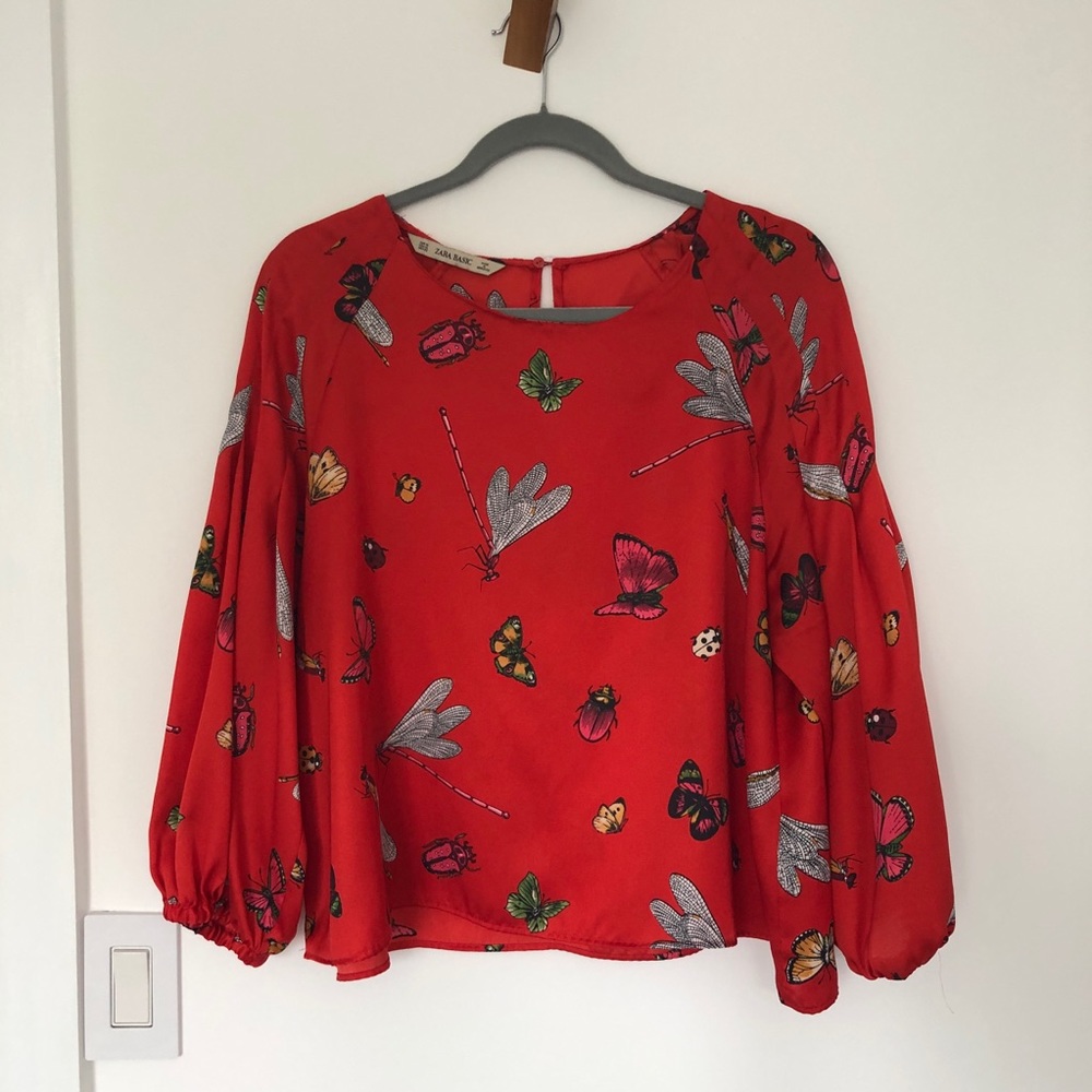 Zara blouse with butterfly, firefly, bugs print